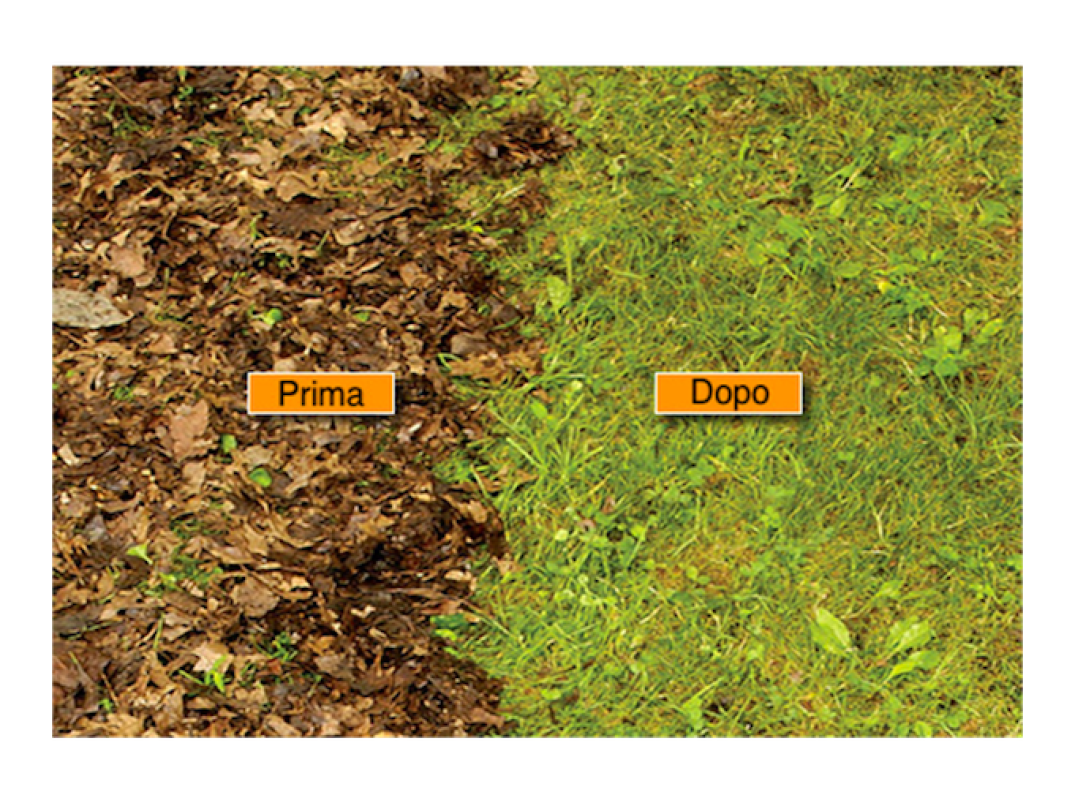 Prima e dopo PRO-VAC SP