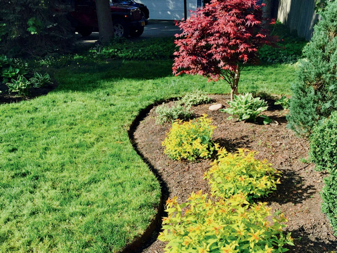 Risultato bordatore per prati EDGE-R-RITE Turfco