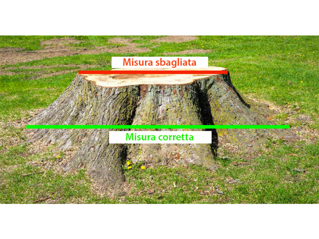 Misure corrette ceppo per utilizzo fresaceppi