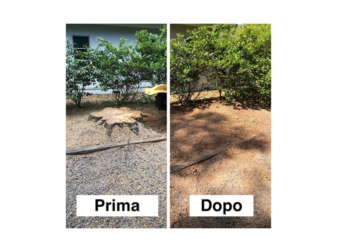 Risultato prima e dopo con fresaceppi