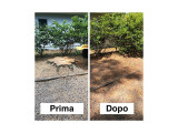 Risultato prima e dopo con fresaceppi