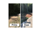 Risultato prima e dopo con fresaceppi
