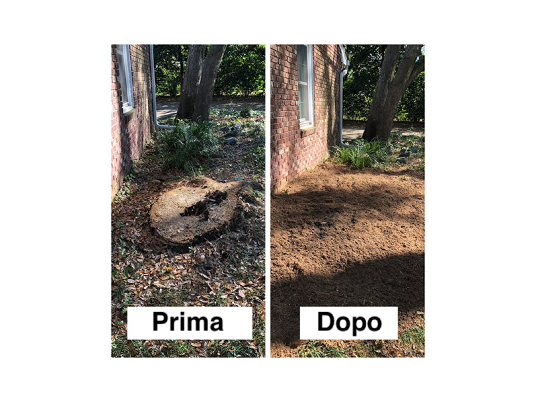 Risultato prima e dopo con fresaceppi