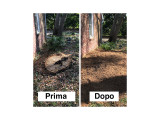 Risultato prima e dopo con fresaceppi