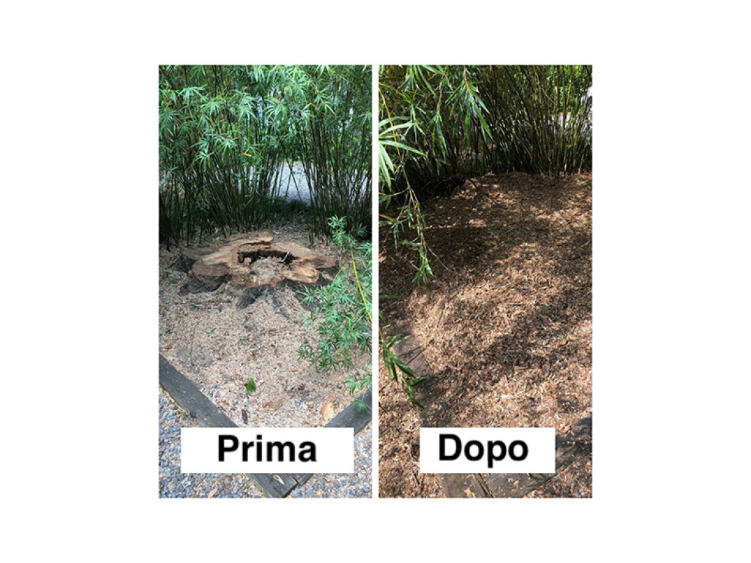 Risultato prima e dopo con fresaceppi