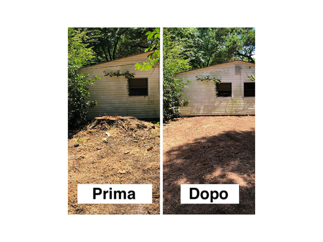 Risultato prima e dopo con fresaceppi