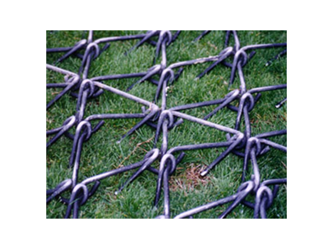 Rete scarificatrice con denti ad alto contenuto di carbonio