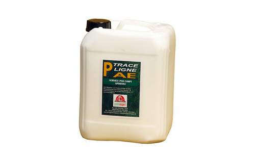 PAE