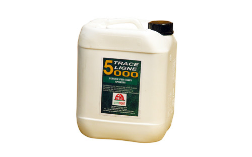 5000
