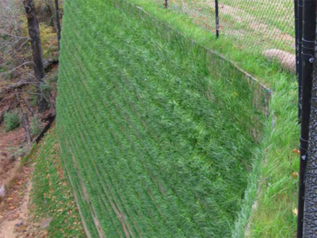 Risultato uso idrosemina su parete verticale