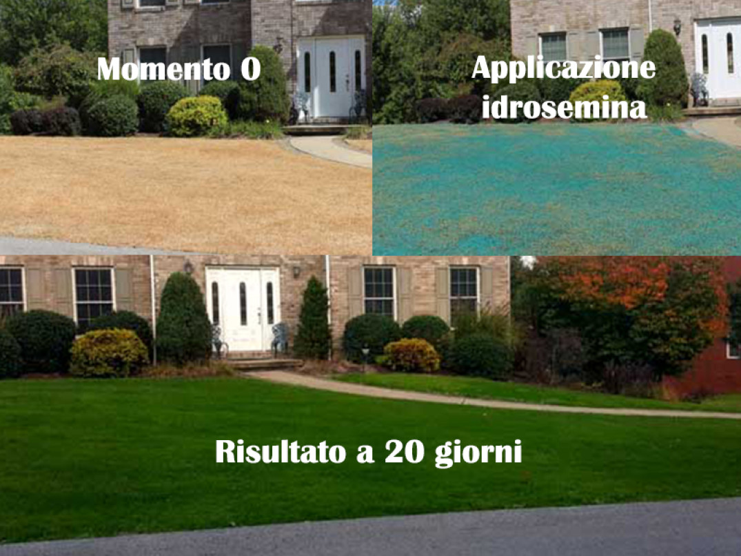 Prima e dopo utilizzo idrosemina