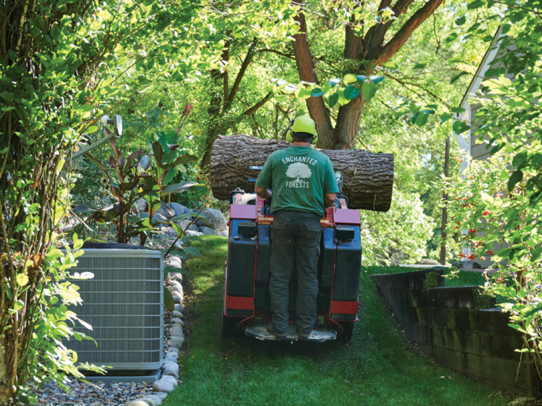 Forche di sollevamento trasporto tronchi