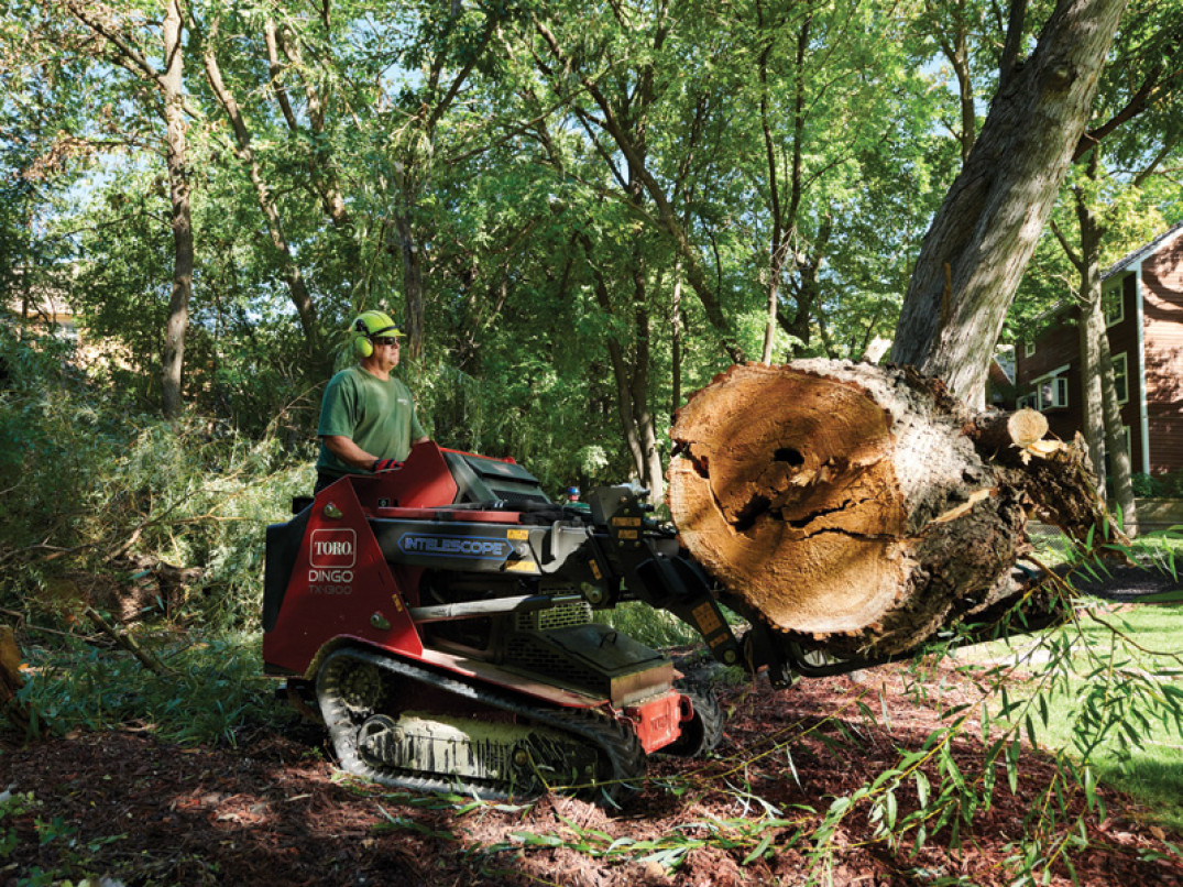 Forche di sollevamento trasporto tronchi